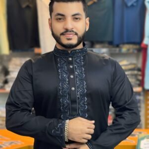 পাঞ্জাবি কোড ৪০০১